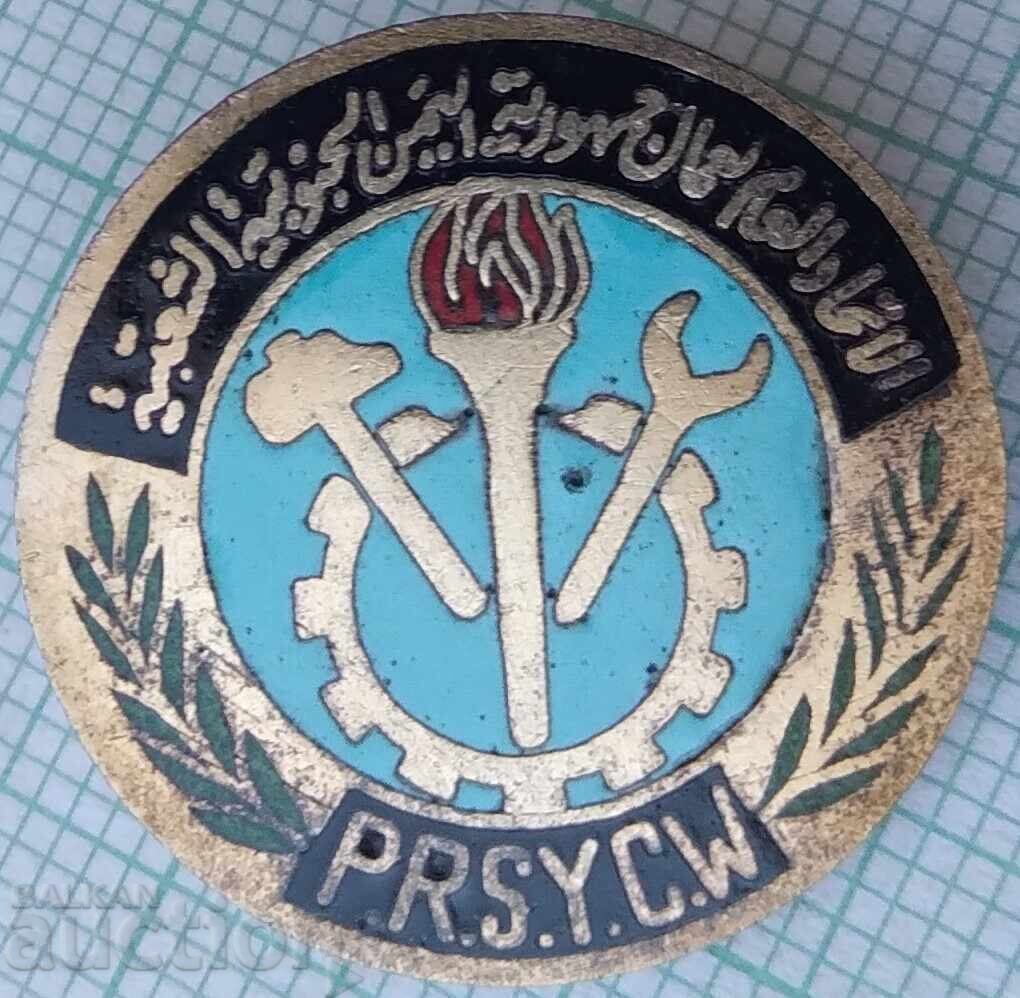 17664 - Badge - Palestine - bronze enamel