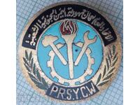 17664 - Badge - Palestine - bronze enamel