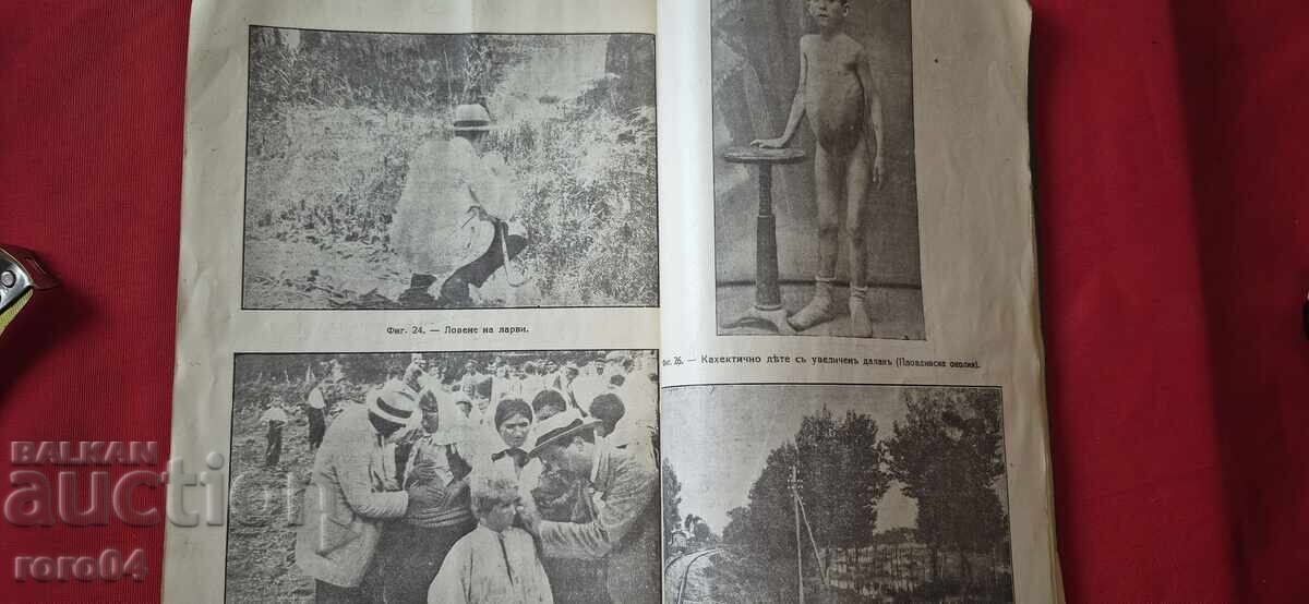 Auction  MALARIA AND THE FIGHT AGAINST IT - CONST. MARKOV