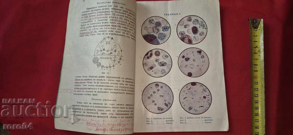 MALARIA AND THE FIGHT AGAINST IT - CONST. MARKOV - 5