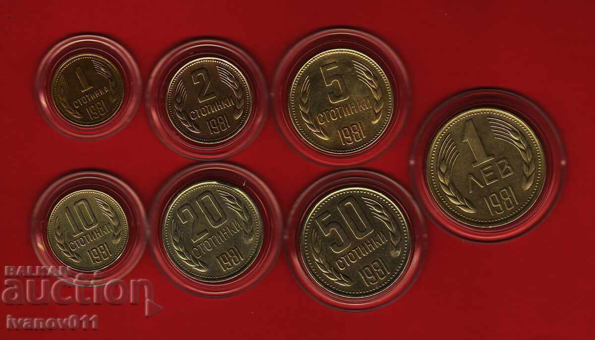 LOT 1981 - 1 - EXCELLENT LOT 1981 - 1 - EXCELLENT