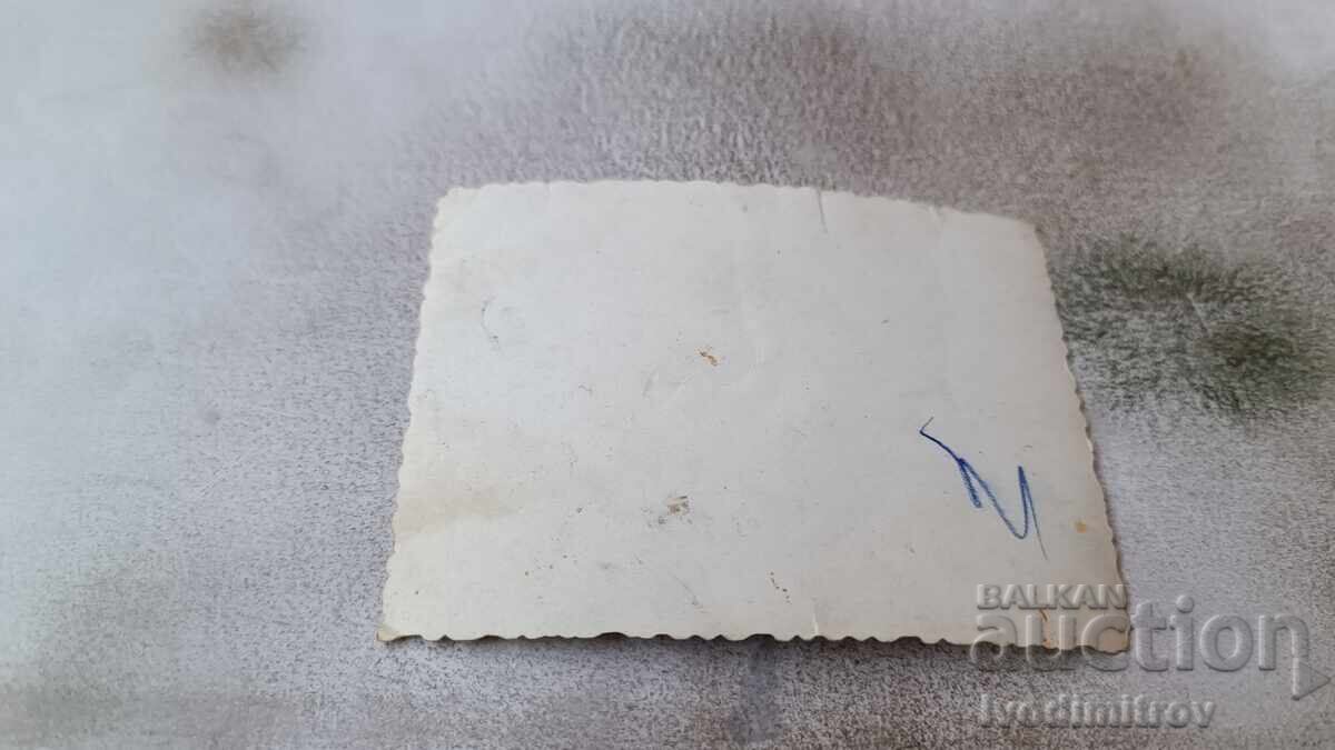 Photo Little boy with price 1.45 BGN | € 0.74 Photo Little boy with price 1.45 BGN | € 0.74