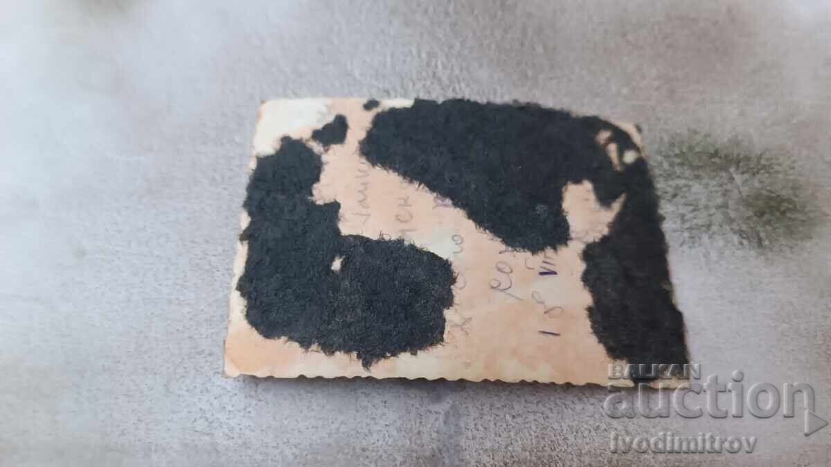 Φωτογραφία Μικρό κορίτσι με τιμή 1.35 BGN | € 0.69