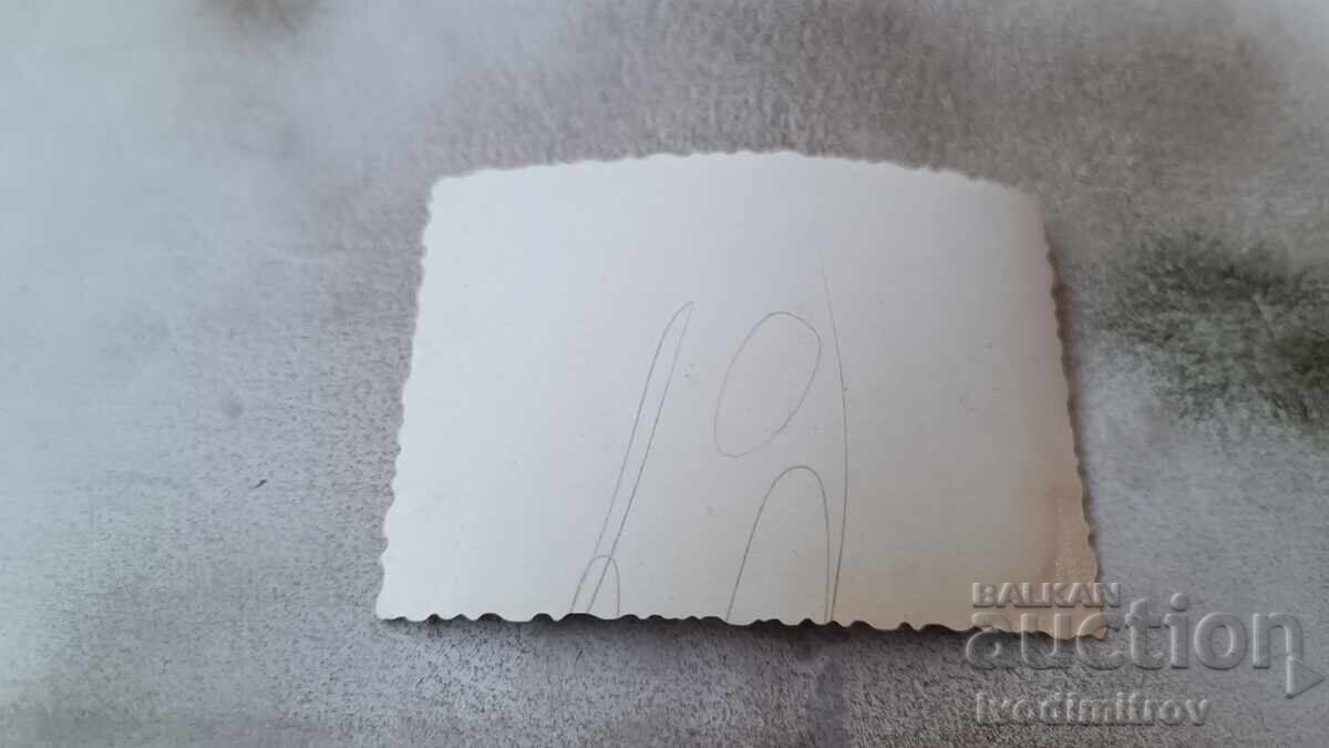 Photo Boy and girl in the park with price 1.35 BGN | € 0.69 Photo Boy and girl in the park with price 1.35 BGN | € 0.69