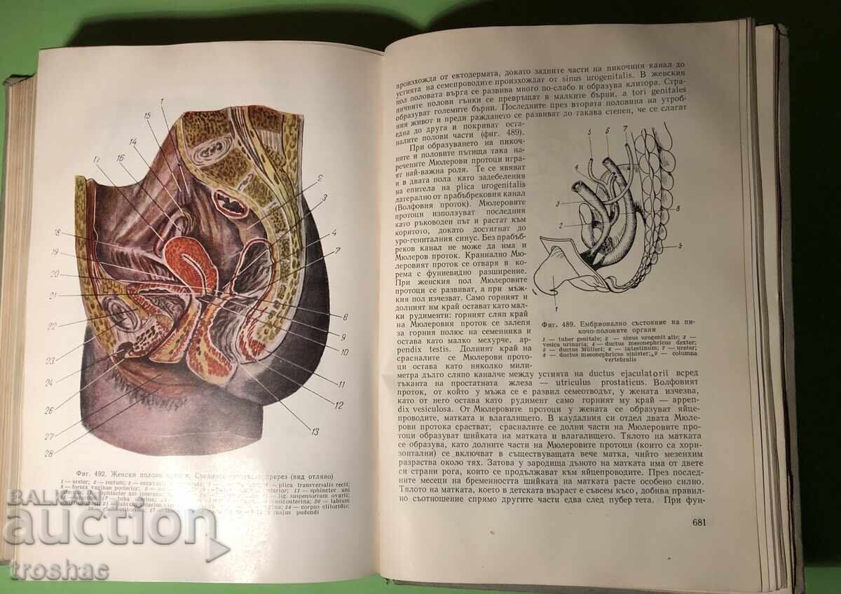 Old Book Human Anatomy /D.Kadanov /M Blanc/D.Stanishev