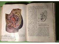 Old Book Human Anatomy /D.Kadanov /M Blanc/D.Stanishev