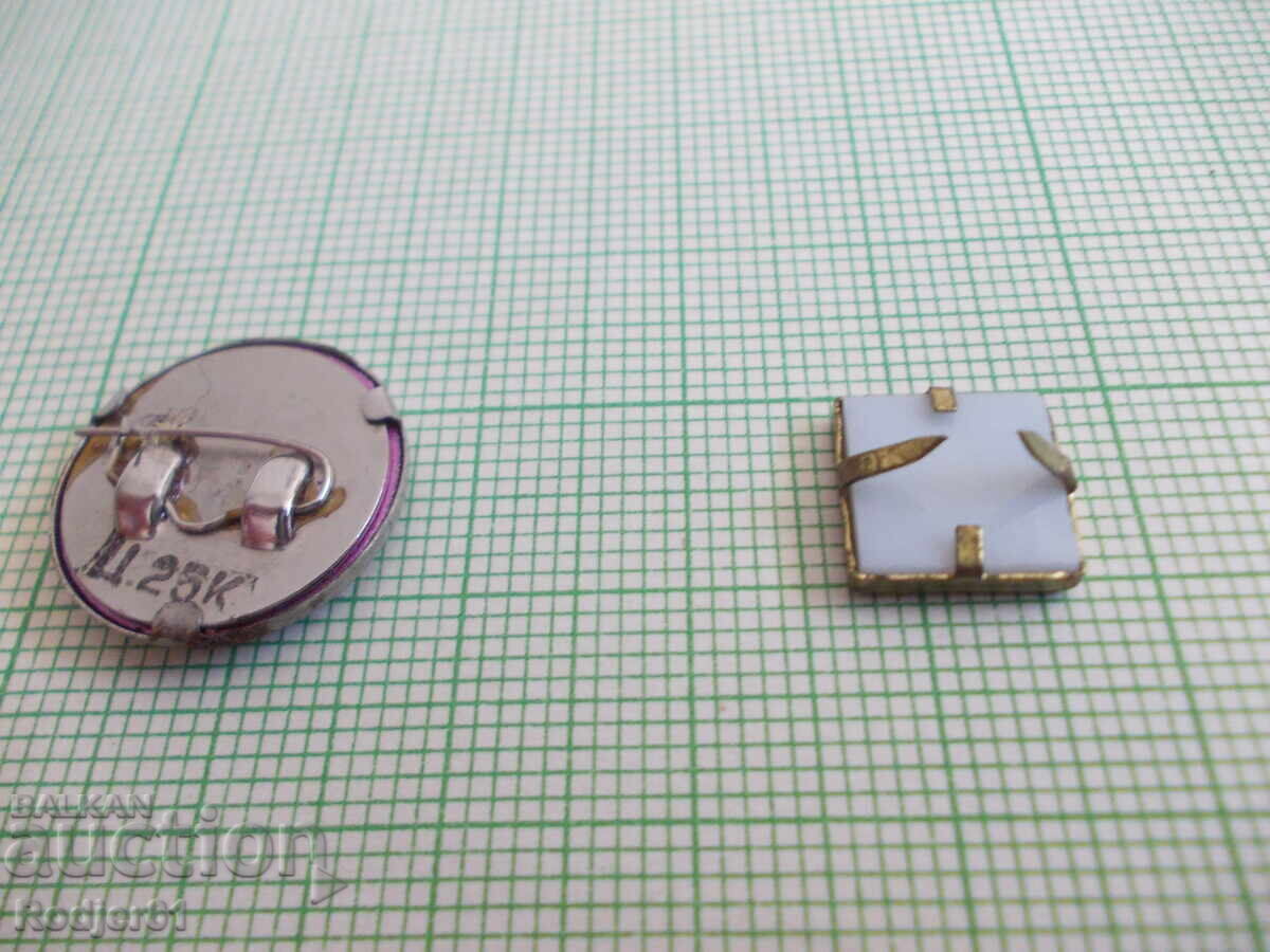 insigne - personalități Lenin 6 buc - 5