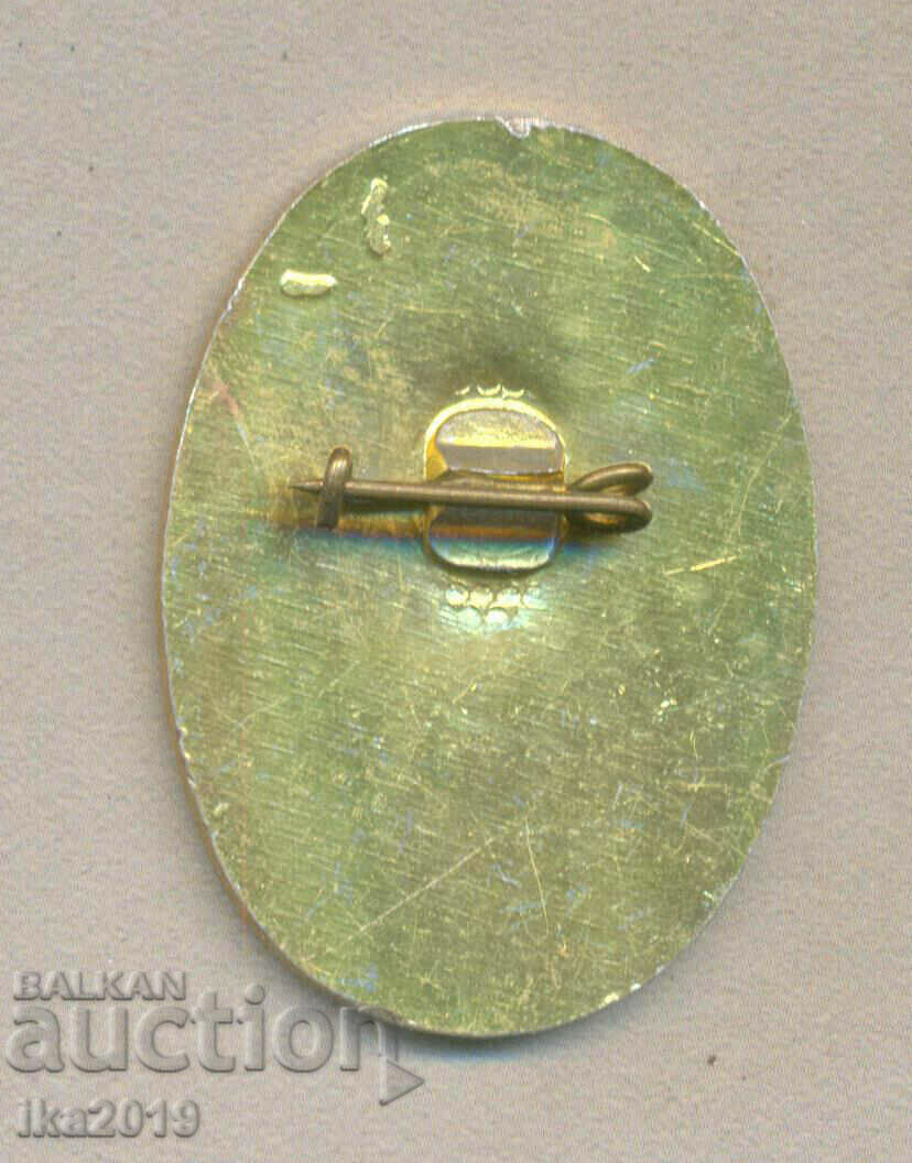 Rare military award badge Excellent VPO Strelets Plovdiv with price 4.50 BGN | € 2.30 Rare military award badge Excellent VPO Strelets Plovdiv with price 4.50 BGN | € 2.30