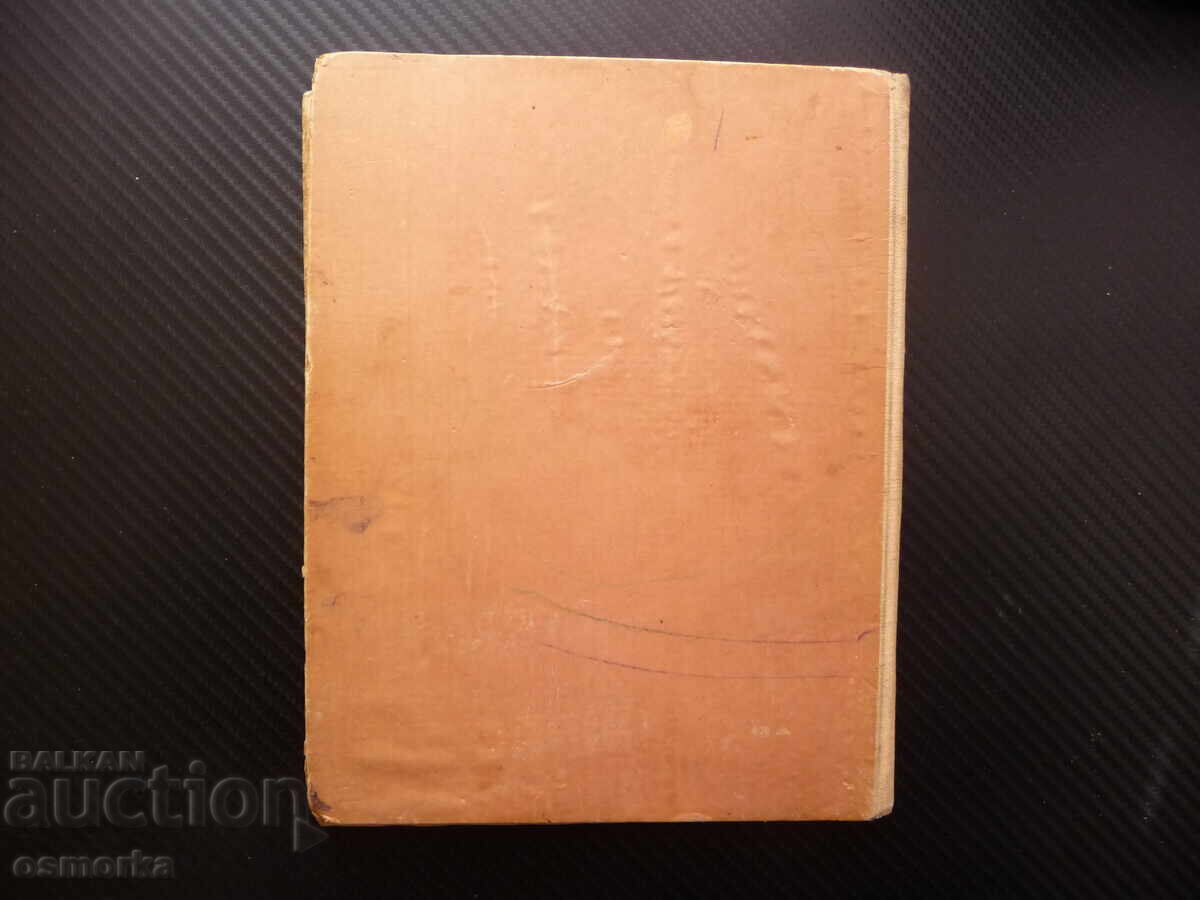 Delivery of The Cold Heart Wilhelm Hauff BZC Lipsy :( fairy tale