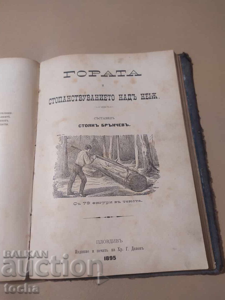 Time of Troubles 1-3 by A. Strashimirov 1899, along with The Forest - 5