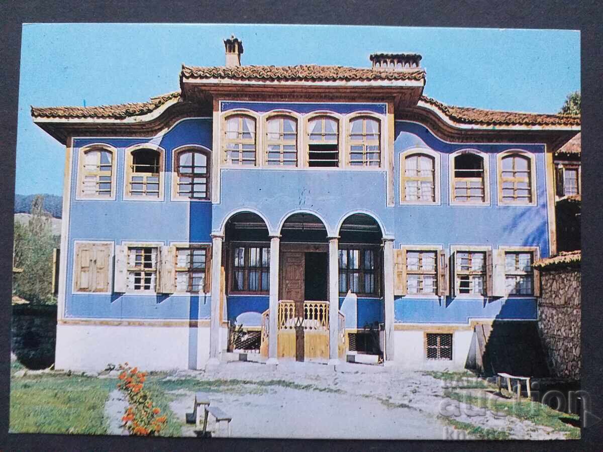 Stinging nettle Stinging nettle