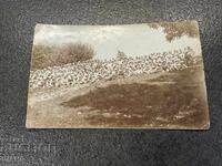 1923 Military photo of a group of soldiers at the foot of Vitosha Mountain