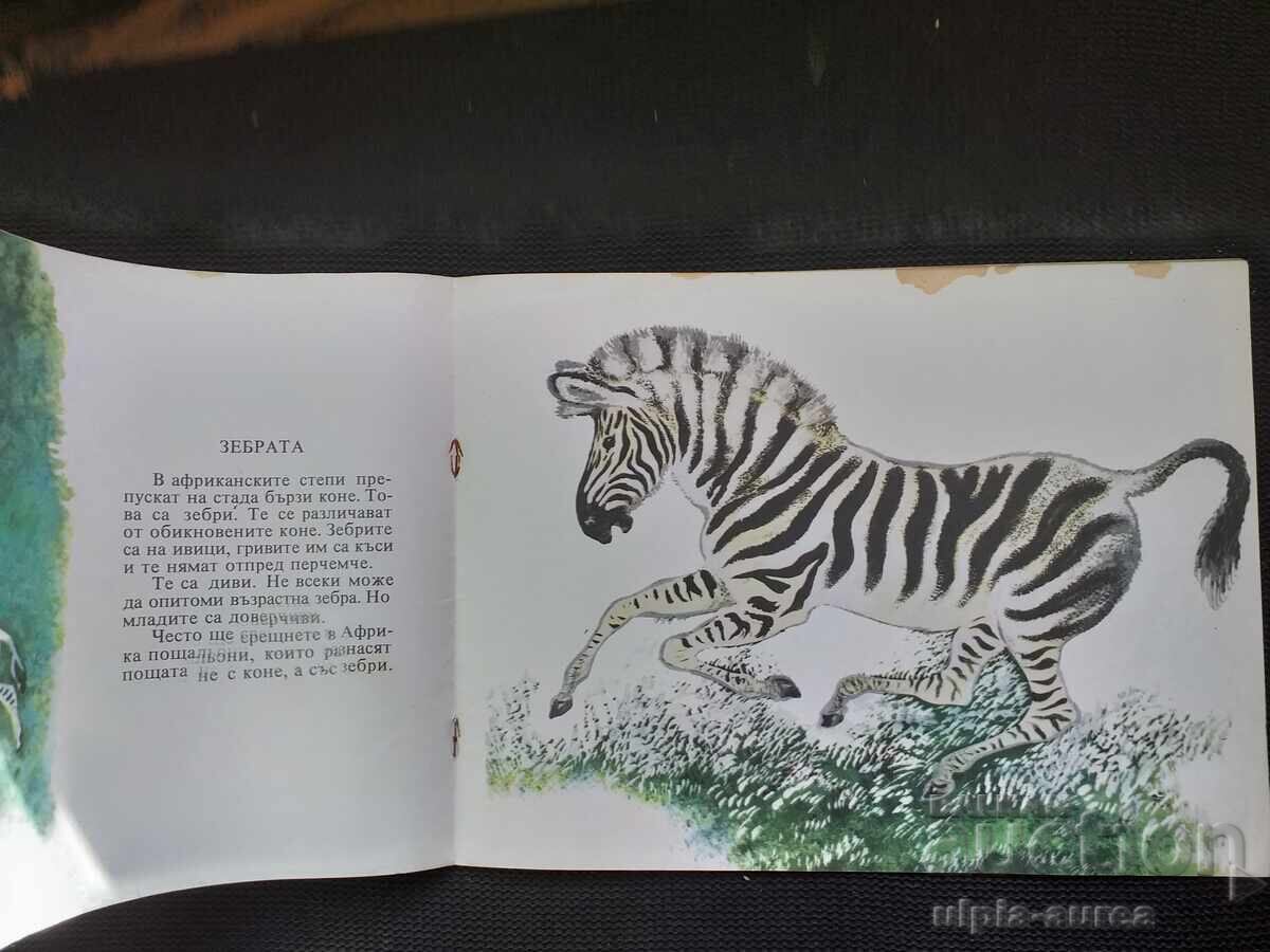 Social children's book with price 1.50 BGN | € 0.77 Social children's book with price 1.50 BGN | € 0.77