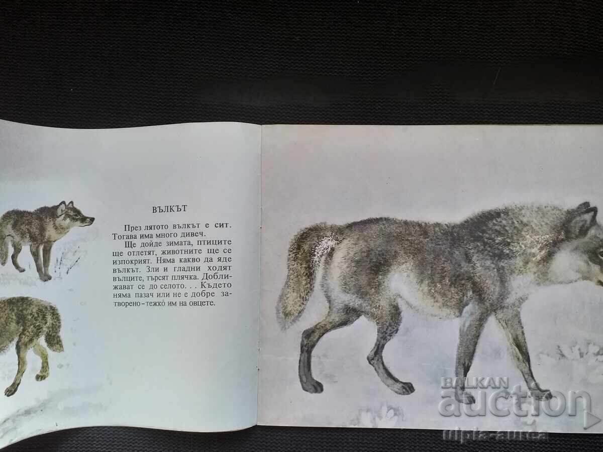 Auction Social children's book Auction Social children's book