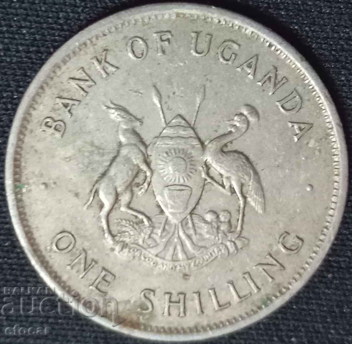 1 shilling Uganda 1976 with price 3.00 BGN | € 1.53 1 shilling Uganda 1976 with price 3.00 BGN | € 1.53