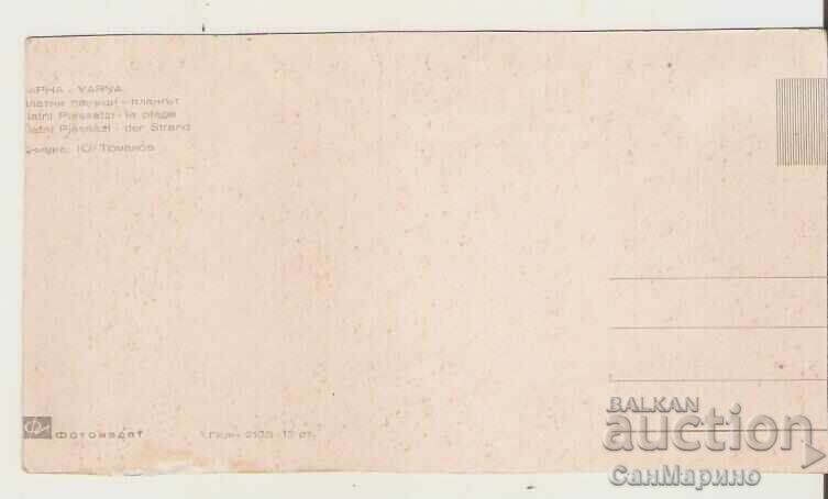 Card Bulgaria Varna Golden Sands Beach 29* with price 0.80 BGN | € 0.41 Card Bulgaria Varna Golden Sands Beach 29* with price 0.80 BGN | € 0.41