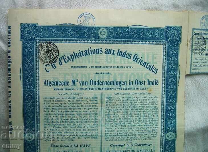 Акция Белгия - Компания за Източна Индия , 1924 с цена 8.00 лв. | € 4.09 Акция Белгия - Компания за Източна Индия , 1924 с цена 8.00 лв. | € 4.09