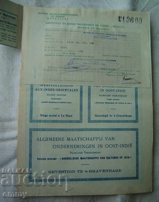 Доставка на Акция Белгия - Компания за Източна Индия , 1924 Доставка на Акция Белгия - Компания за Източна Индия , 1924