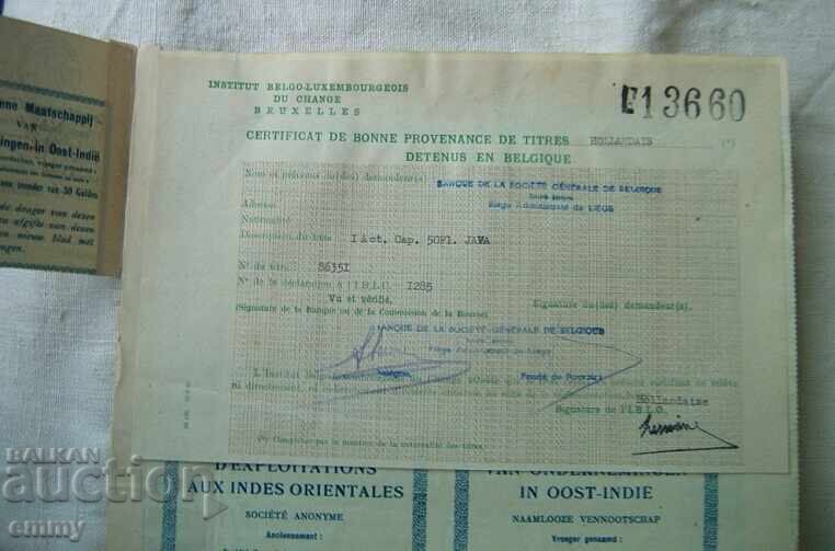 Акция Белгия - Компания за Източна Индия , 1924 - 5 Акция Белгия - Компания за Източна Индия , 1924 - 5