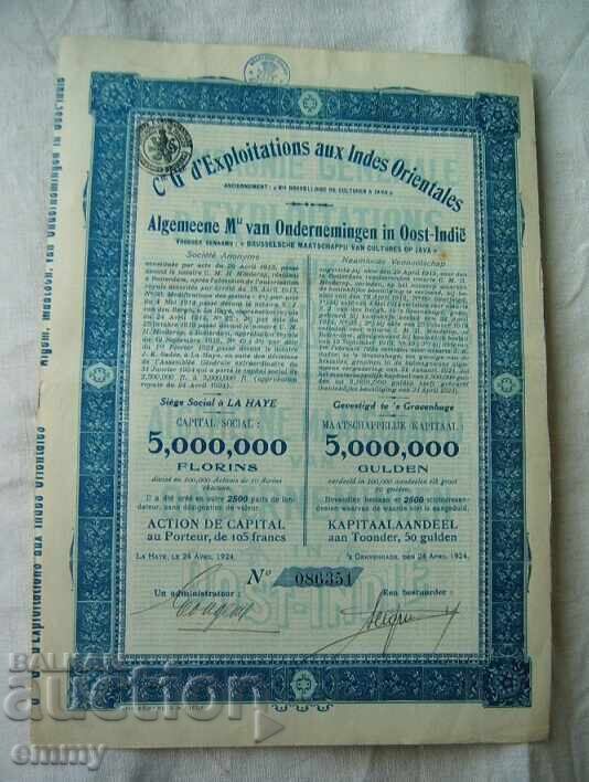 Акция Белгия - Компания за Източна Индия , 1924 Акция Белгия - Компания за Източна Индия , 1924