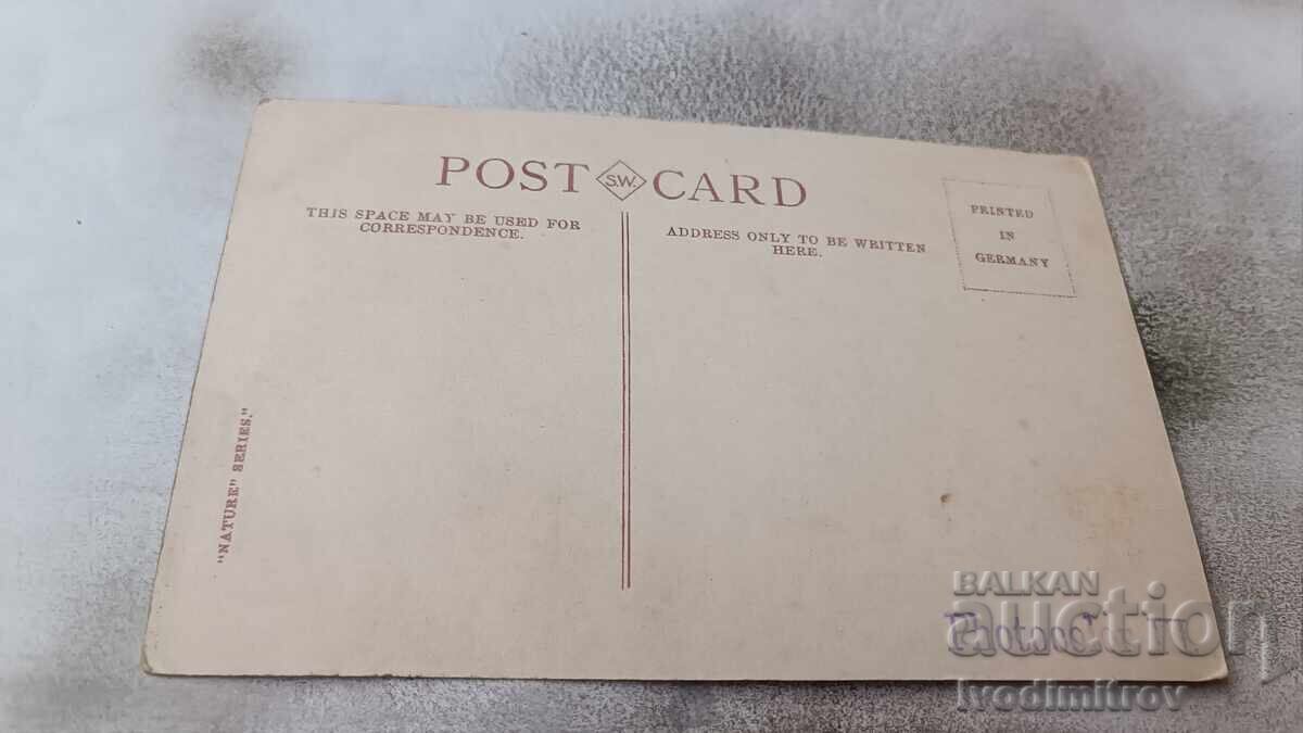 Brisbane Executive Buildings Postcard with price 2.45 BGN | € 1.25 Brisbane Executive Buildings Postcard with price 2.45 BGN | € 1.25