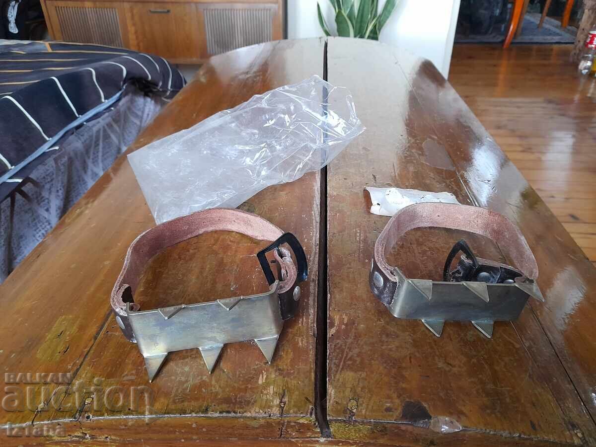 Παλιές γάτες με τιμή 32.00 BGN | € 16.36