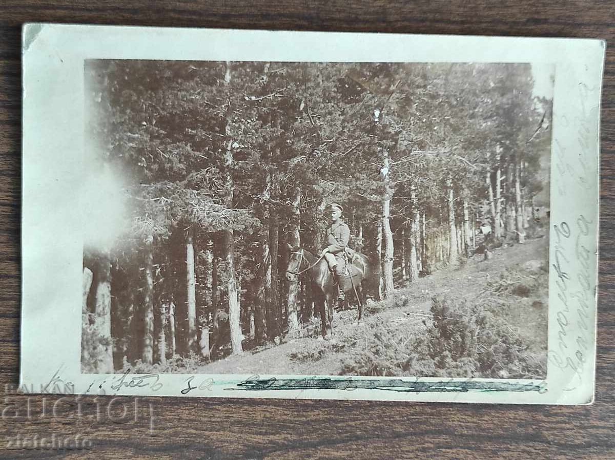 Fotografie veche Regatul Bulgariei - Fotografie veche Regatul Bulgariei -