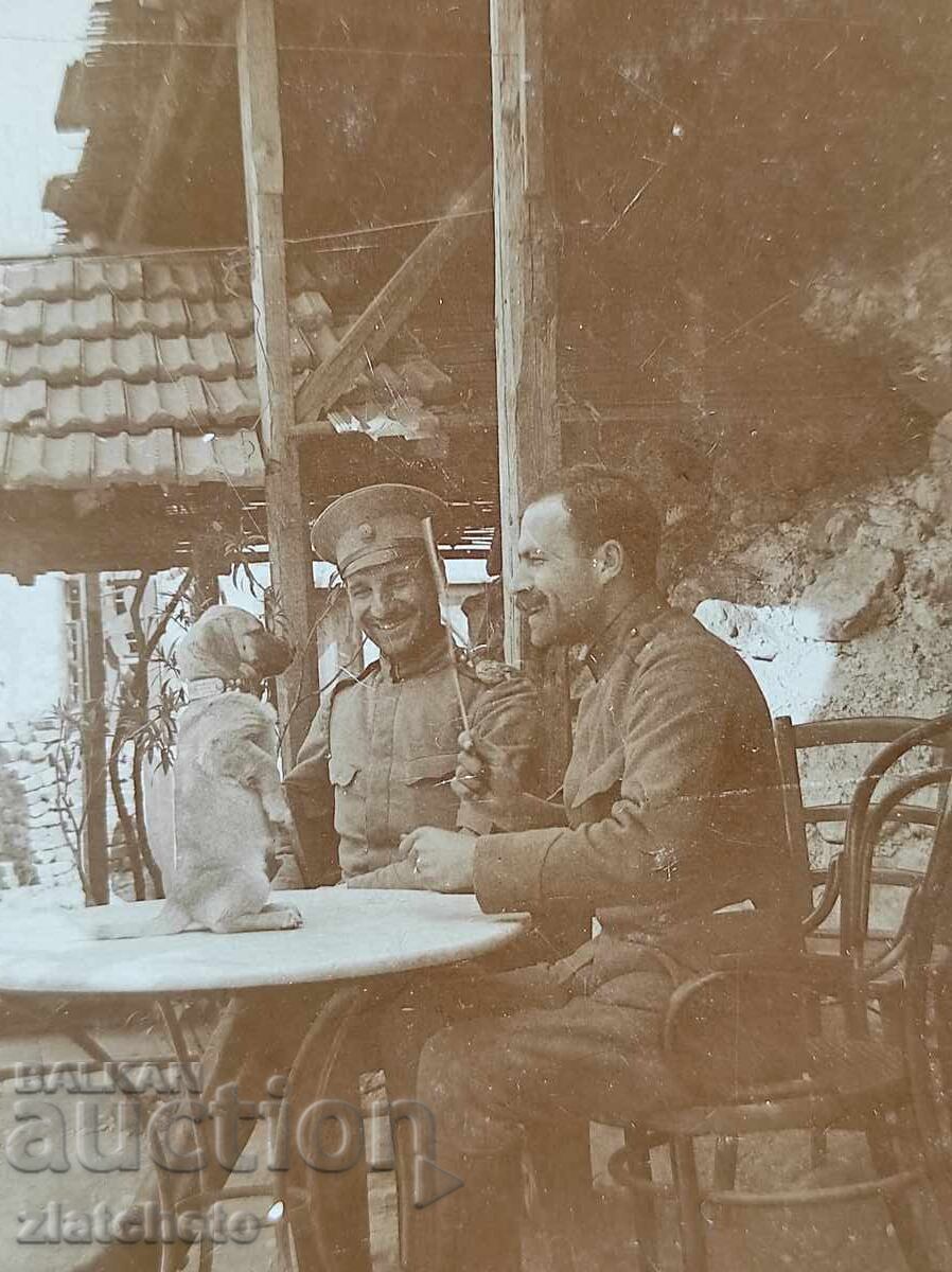 Fotografie veche Regatul Bulgariei - cu preț 10.00 BGN | € 5.11 Fotografie veche Regatul Bulgariei - cu preț 10.00 BGN | € 5.11