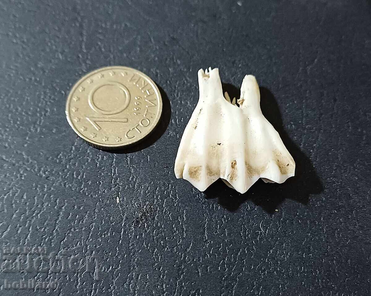 Για ένα καλύτερο χαμόγελο με τιμή 1.00 BGN | € 0.51 Για ένα καλύτερο χαμόγελο με τιμή 1.00 BGN | € 0.51