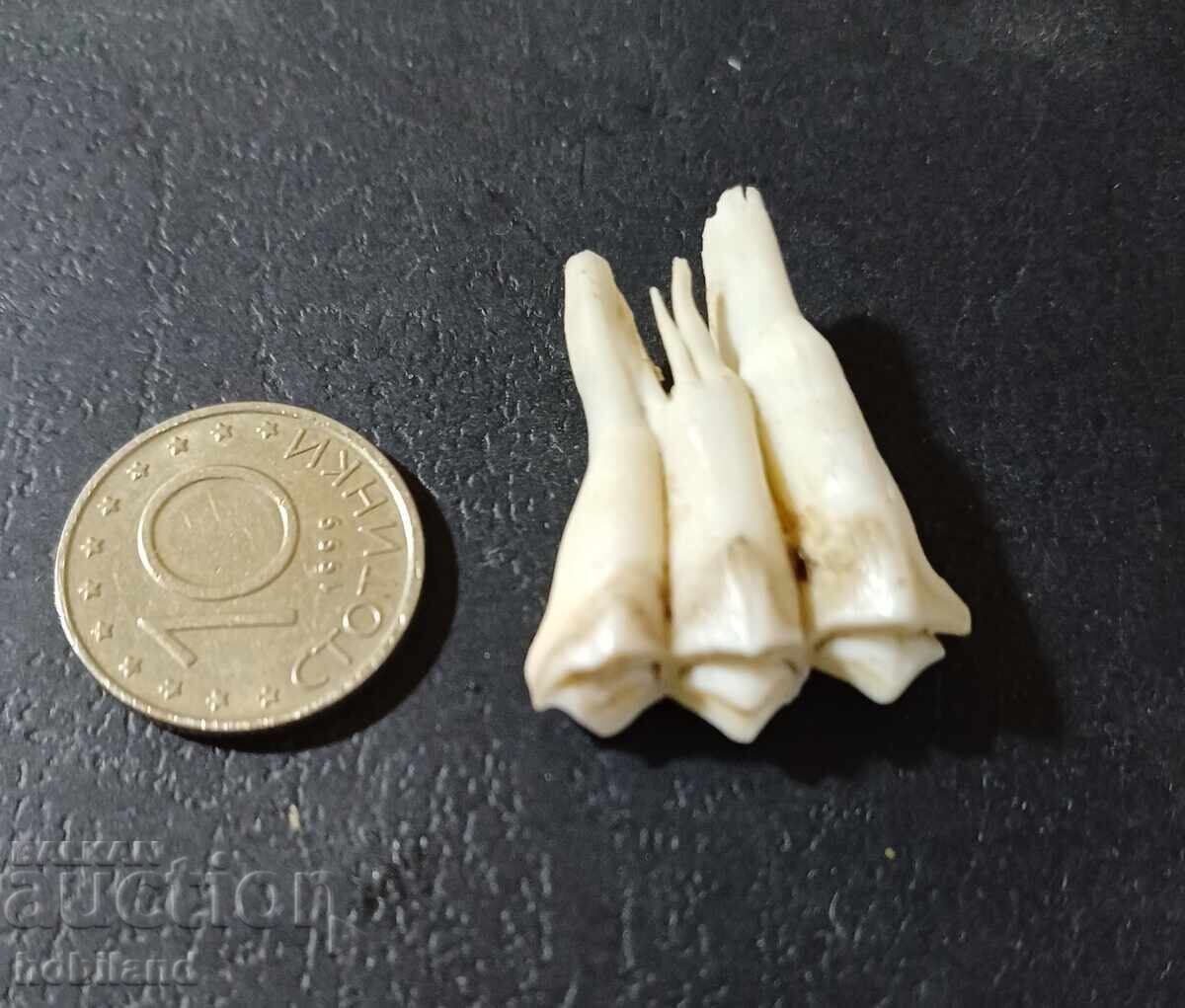 Για ένα καλύτερο χαμόγελο Για ένα καλύτερο χαμόγελο