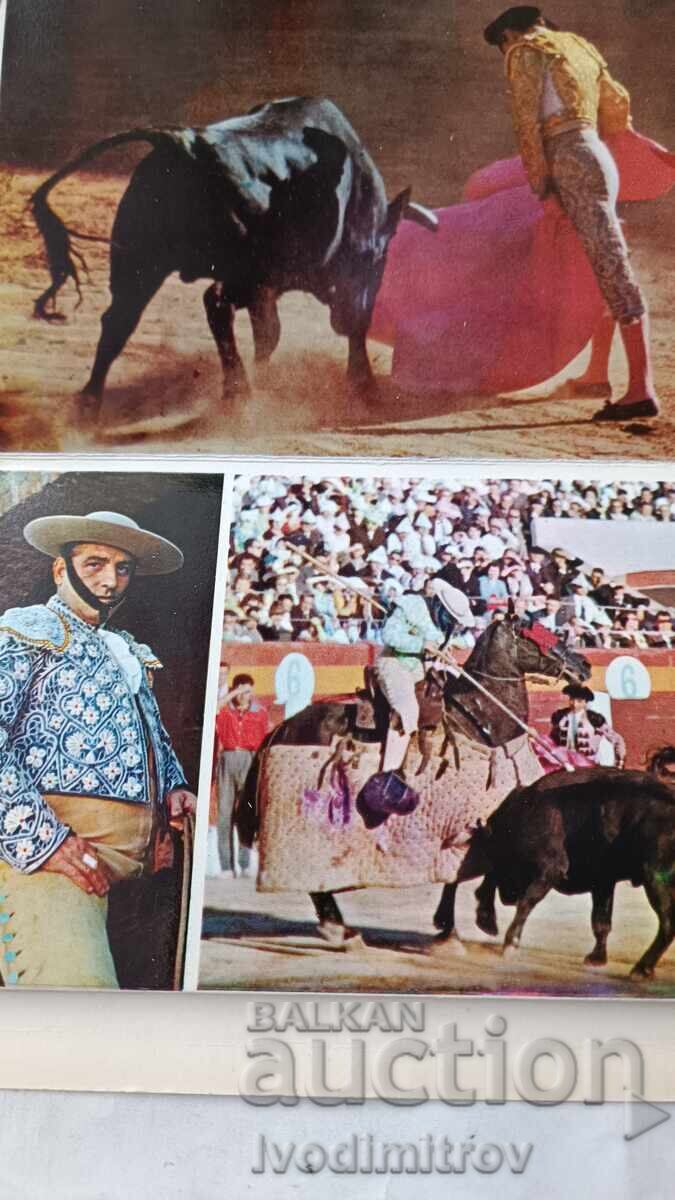 Δημοπρασία Καρτ ποστάλ TOROS Δημοπρασία Καρτ ποστάλ TOROS