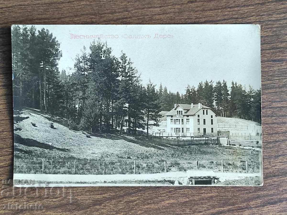 Old photo Kingdom of Bulgaria - Old photo Kingdom of Bulgaria -