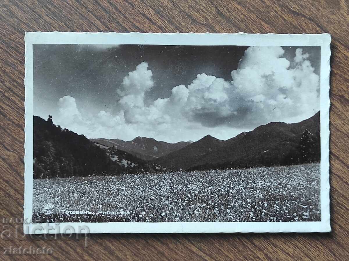 Postal Map Kingdom of Bulgaria - Teteven, Ribaritsa