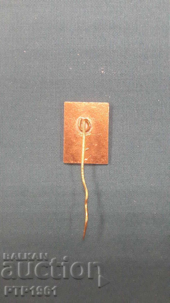 значка-BERLIN с цена € 1.02 | 1.99 лв. значка-BERLIN с цена € 1.02 | 1.99 лв.