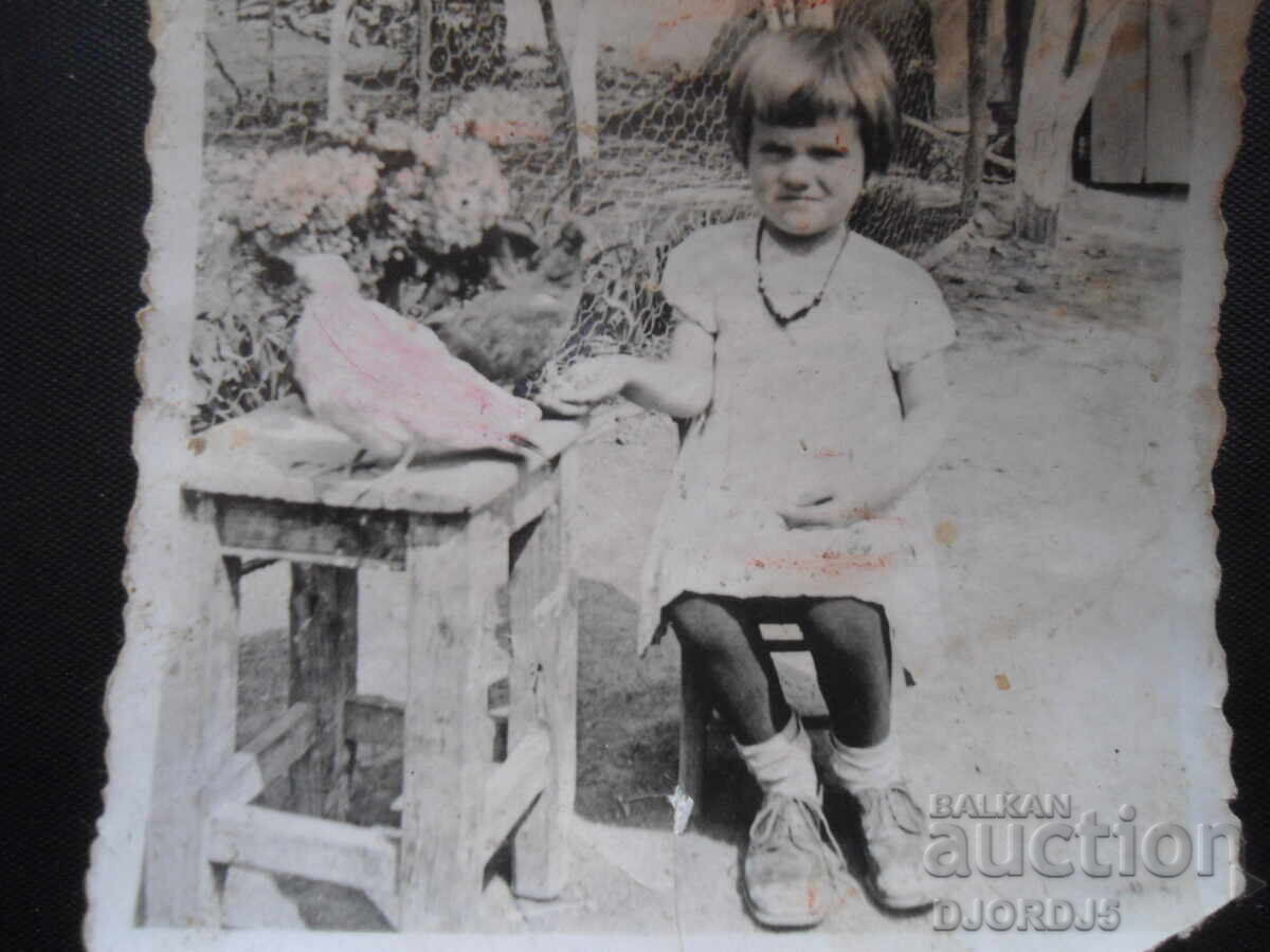 old photo with price 0.50 BGN | € 0.26 old photo with price 0.50 BGN | € 0.26