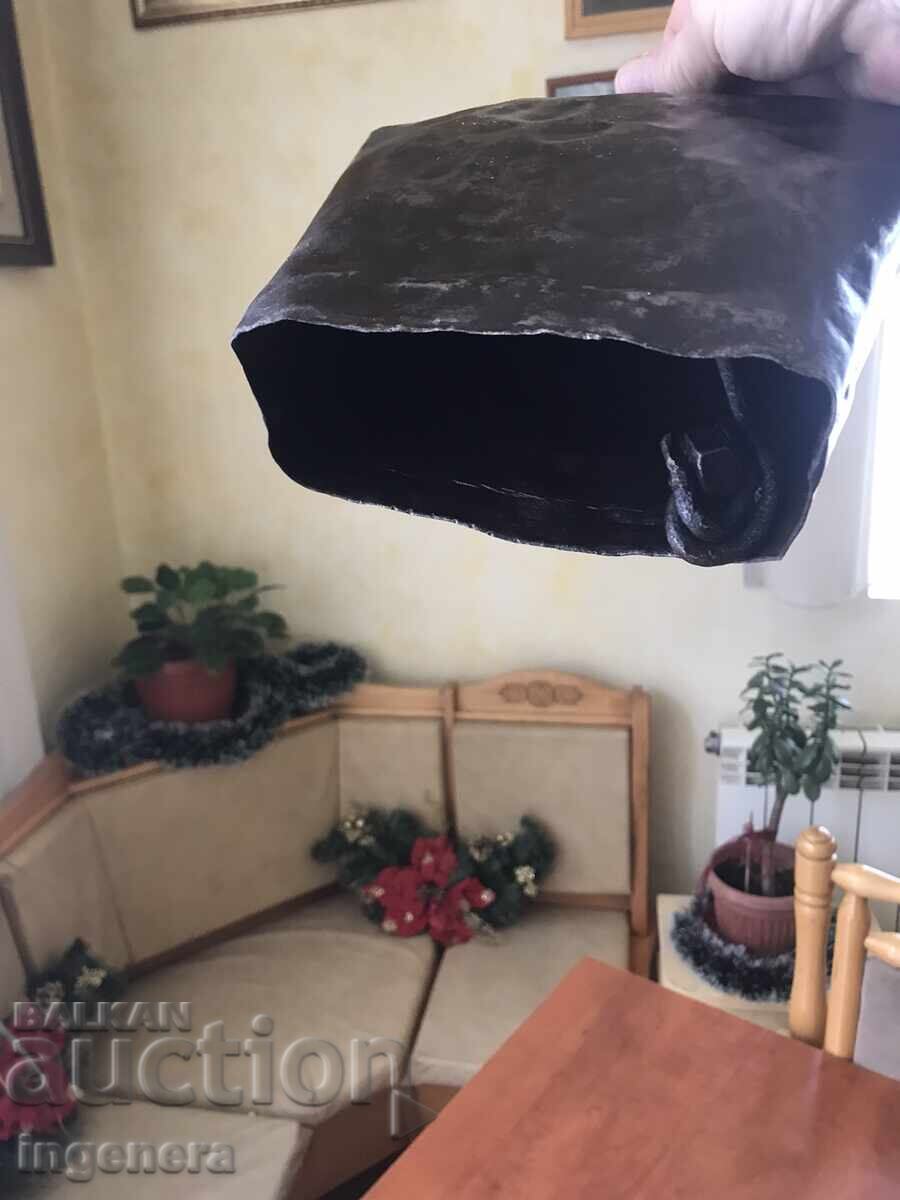 GUY CHAN THUMBELEK HUGE - 7