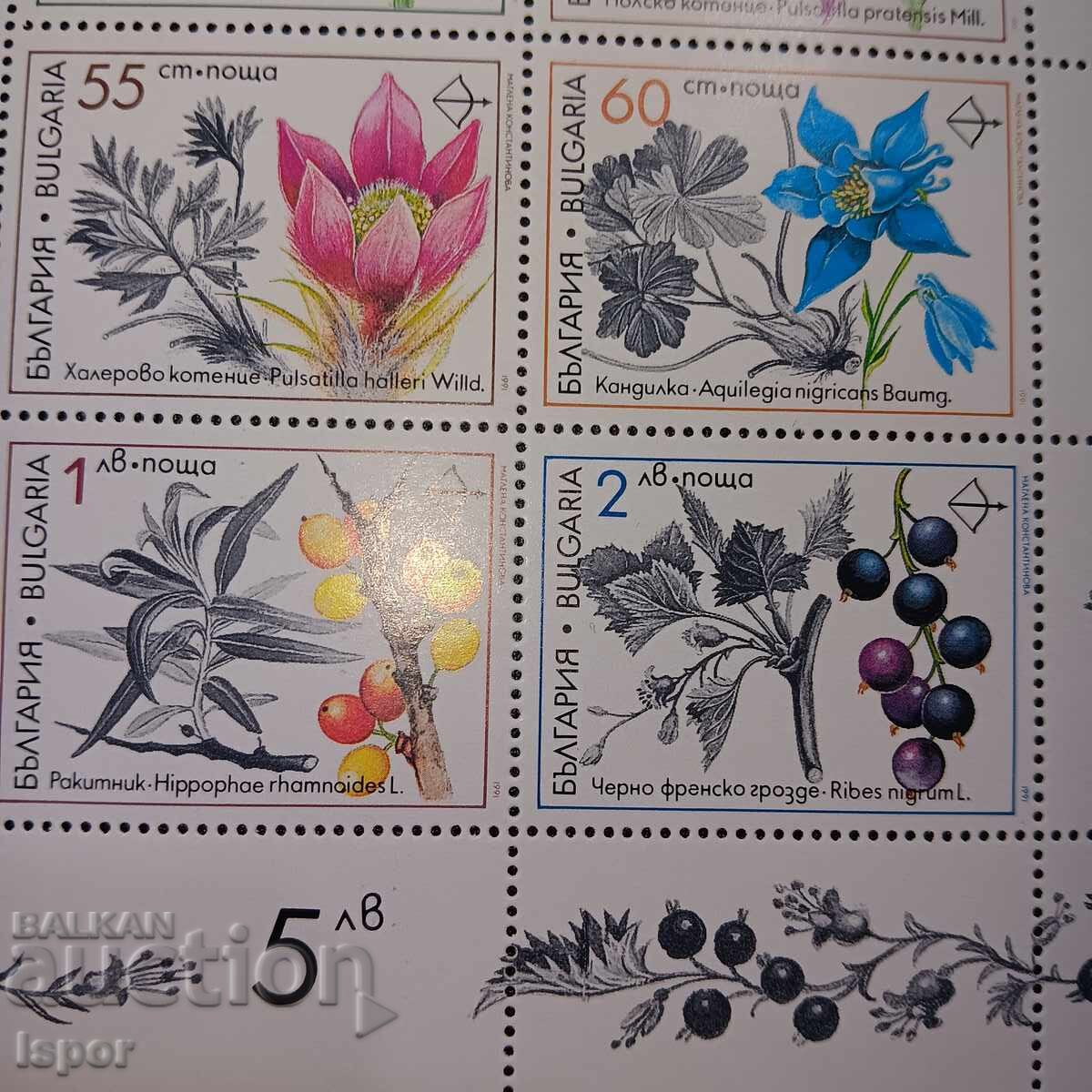 Auction Bulgaria Auction Bulgaria