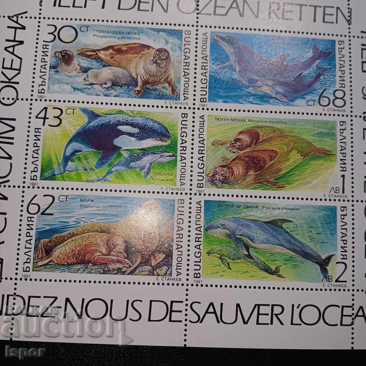 Аукцион България Аукцион България