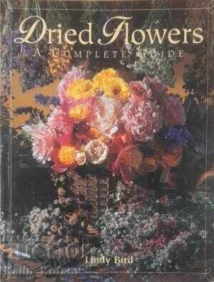Dried Flowers: A Complete Guide - Lindy Bird