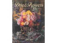 Dried Flowers: A Complete Guide - Lindy Bird