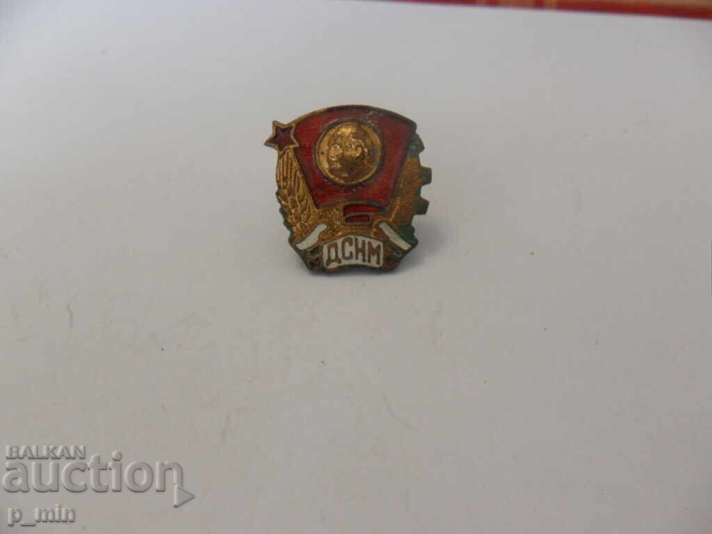 breastplate - DSNM breastplate - DSNM