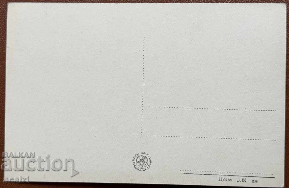 Delivery of Postcards with Artists Delivery of Postcards with Artists