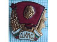 17730 Badge - DCMS - bronze enamel