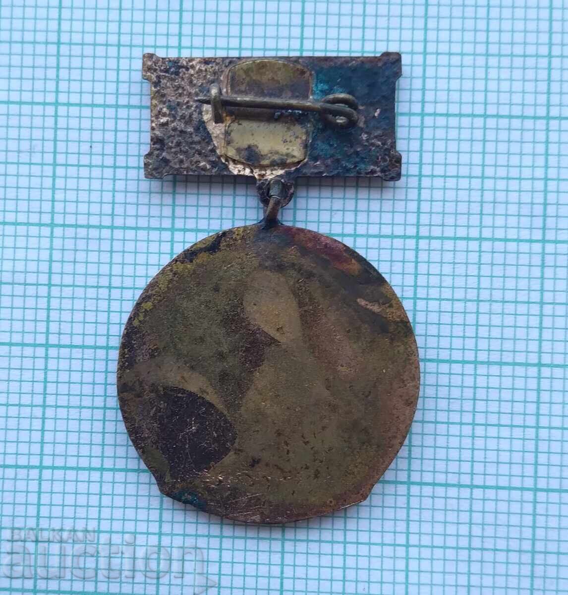 Auction 17735 Badge - Excellent Civil Engineering Student - enamel Auction 17735 Badge - Excellent Civil Engineering Student - enamel