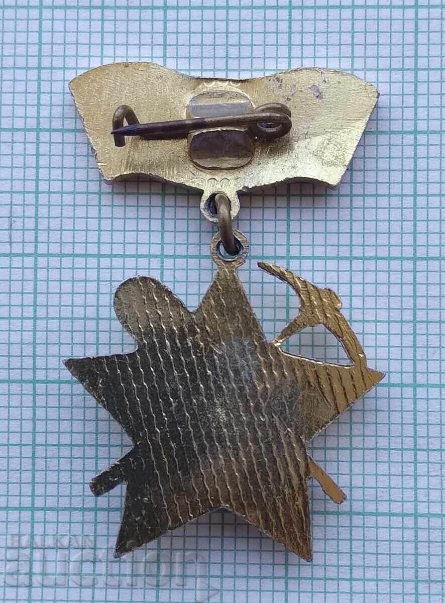 Auction 17739 Badge - We build for the homeland Auction 17739 Badge - We build for the homeland