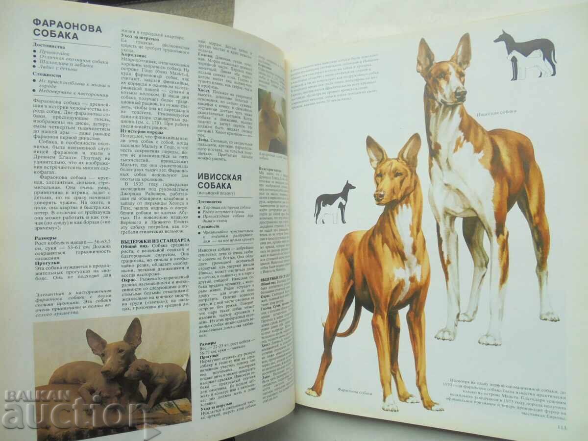 Auction  Your Dog - Joan Palmer 1988