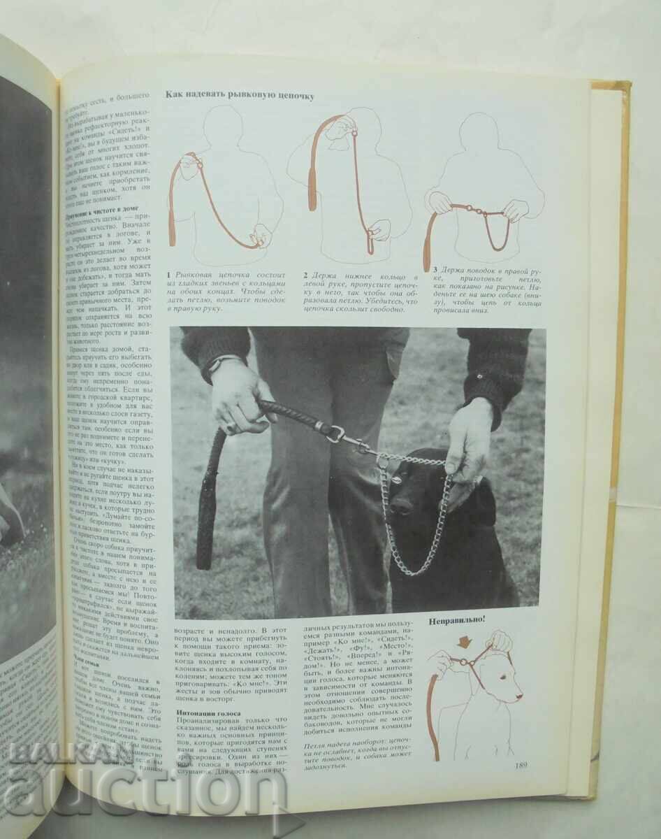 Delivery of Your Dog - Joan Palmer 1988