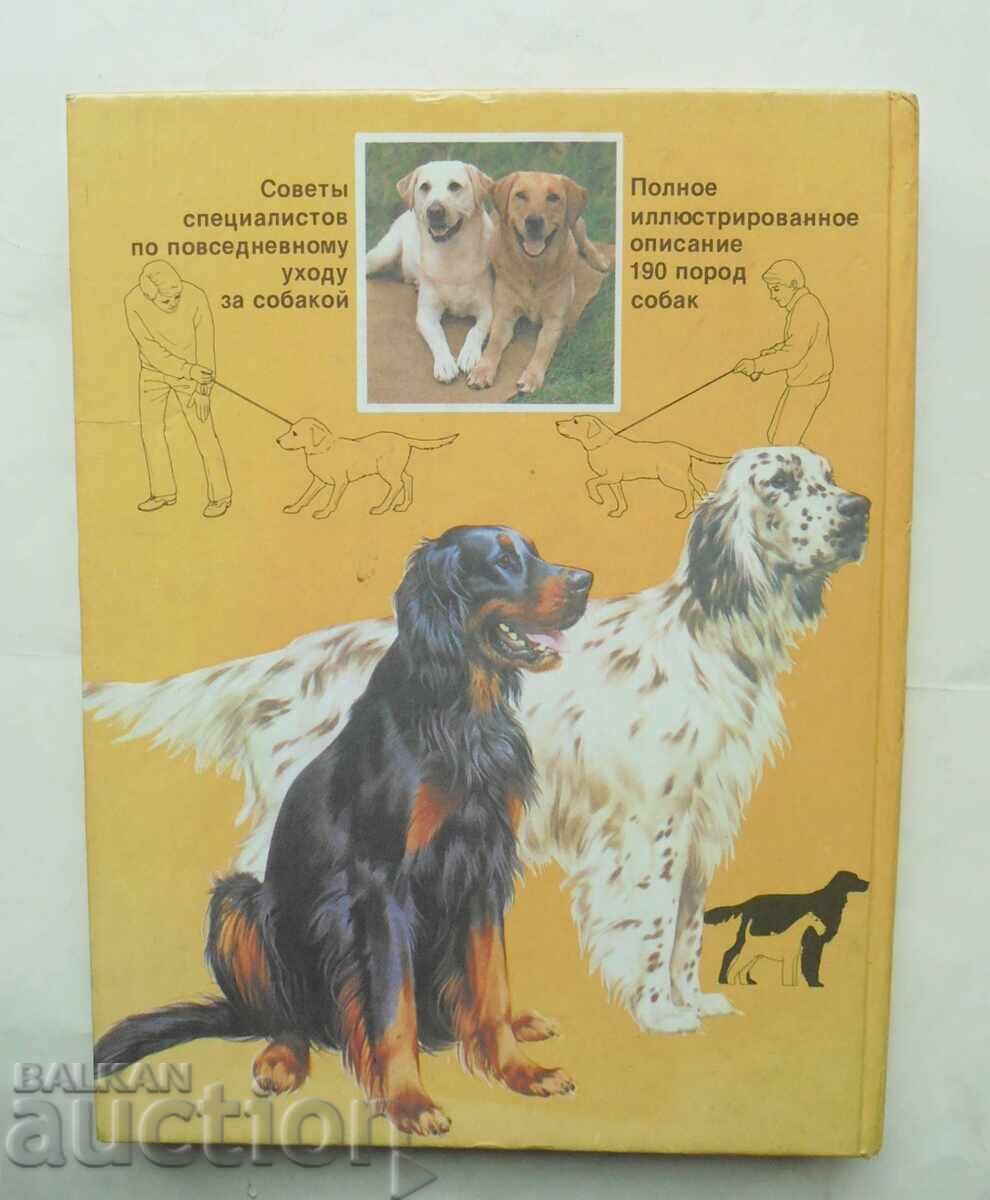 Your Dog - Joan Palmer 1988 - 7