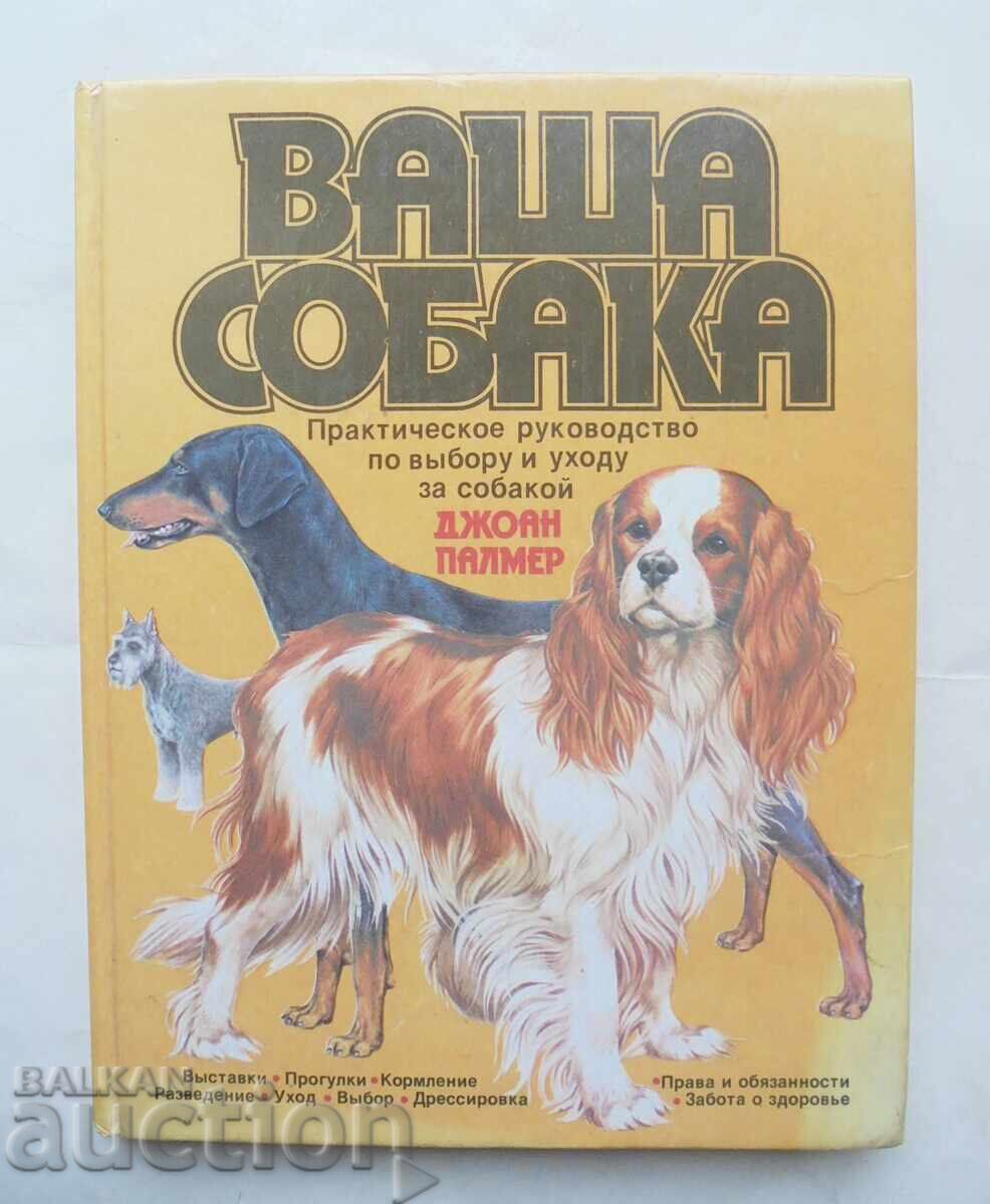 Your Dog - Joan Palmer 1988