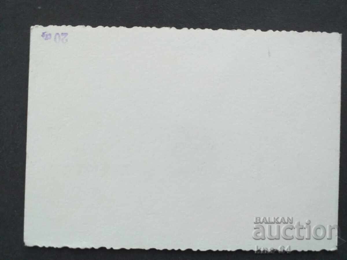 Auction Social Greeting Auction Social Greeting